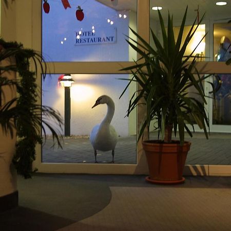 Seehotel Luisenhof Falkenhagen  Luaran gambar