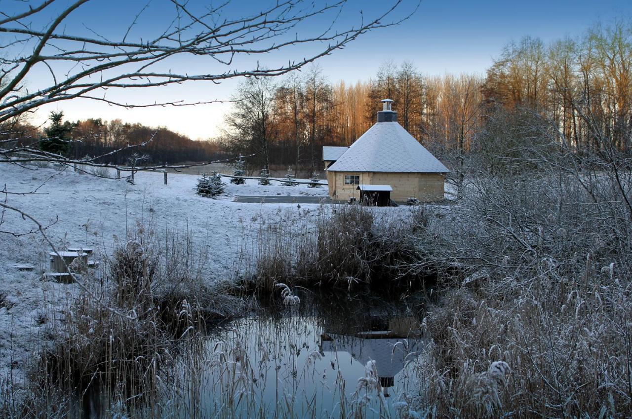 Seehotel Luisenhof Falkenhagen  Luaran gambar